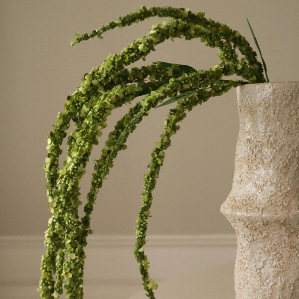 Botane Amaranthus kukka, vihreä lähikuva - tekokukat Spazio