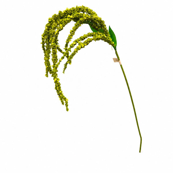 Botane Amaranthus kukka, vihreä - tekokukat Spazio