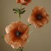 Botane Anemone kukka, samppanja lähikuva - tekokukat Spazio