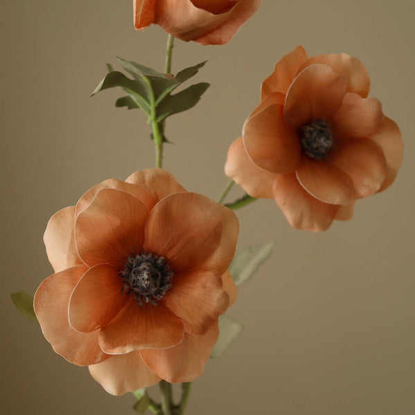 Botane Anemone kukka, samppanja lähikuva - tekokukat Spazio