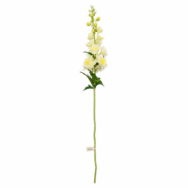 Botane Ritarinkannus (Delphinum) kukka, valkoinen - tekokukat Spazio