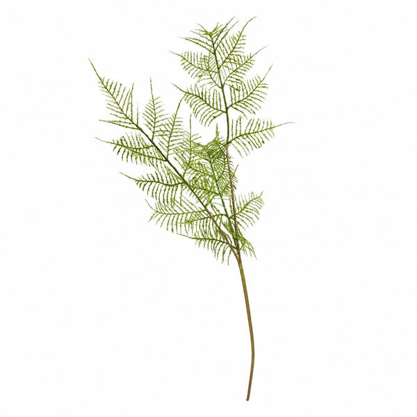 Botane Fern saniaisen lehdet, vihreä - tekokukat Spazio