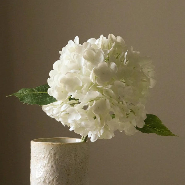 Botane Hortensia kukka valkoinen - sisustus Spazio