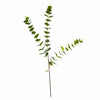 Botane Eukalyptus oksa, kolme lehteä, vihreä - tekokukat Spazio