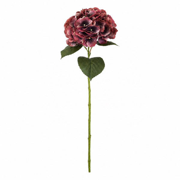 Botane Hortensia kukka, burgundi tuotekuva - tekokukat Spazio