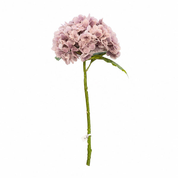 Botane Hortensian kukka, vaaleanvioletti- tekokukat Spazio