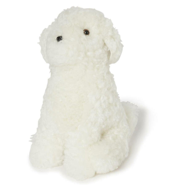 Skinnwille, Curly Snowy koirapehmo, valkoinen Muut Skinnwille