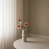 Botane Anemone kukka, samppanja vaasissa - tekokukat Spazio