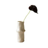Botane Flamingokukka (Anthurium), pieni, musta - sisustus Spazio