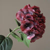 Botane Hortensia kukka, burgundi - sisustus Spazio