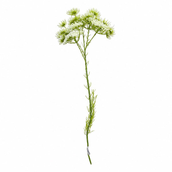 Botane Kuningatar Annen pitsikukka, valkoinen - tekokukat Spazio