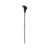 Botané musta kalla tekokukka 66 cm valkoisella taustalla - tekokukat Spazio
