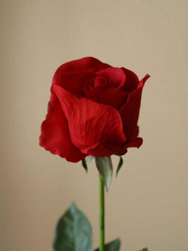 Botané Premium Longstem Rose punainen tekoruusu modernissa sisustuksessa - tekokukat Spazio